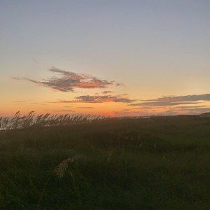 Meet your Posher, Aveahna